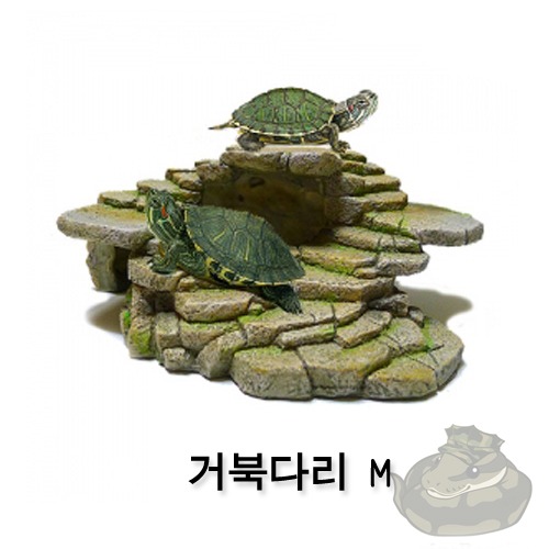 3D 거북다리(M), 거북육지, 돌