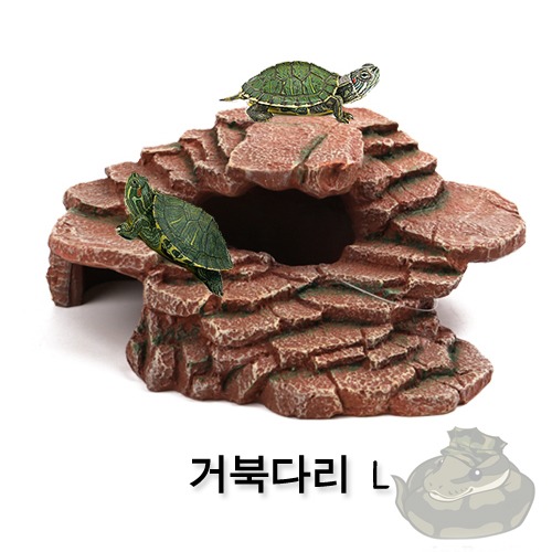 3D 거북다리(L), 거북육지, 돌